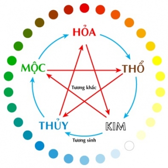 Cây Cảnh Phong Thủy